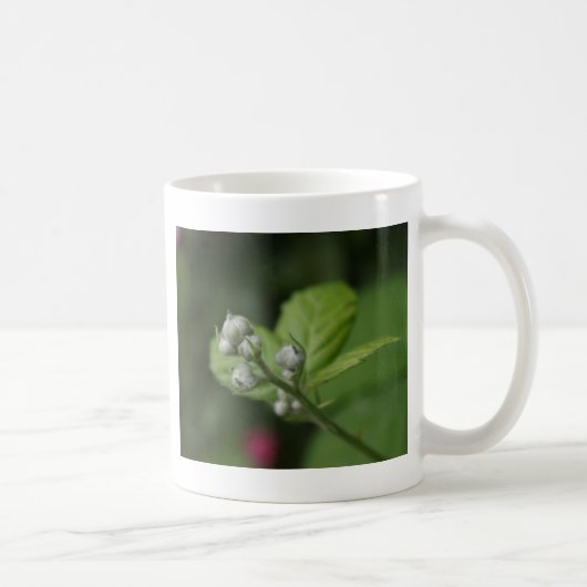 夏の野生のラズベリーの花のつぼみ コーヒーマグカップ (右)
