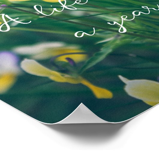 夏の野草 ポスター (角)