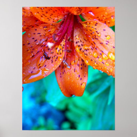 夏の雨残り ポスター (正面)