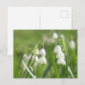 夏の雪の結晶DIYポストカード シーズンポストカード (正面/裏面)