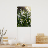 夏の雪片の白い花 ポスター (キッチン)