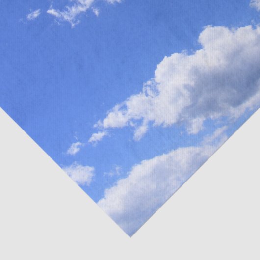 夏の雲 薄葉紙 (詳細)