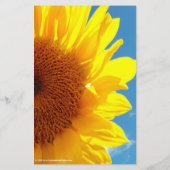 夏の青空と黄色のひまわり チラシ (裏面)