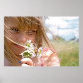 夏の風 ポスター (正面)