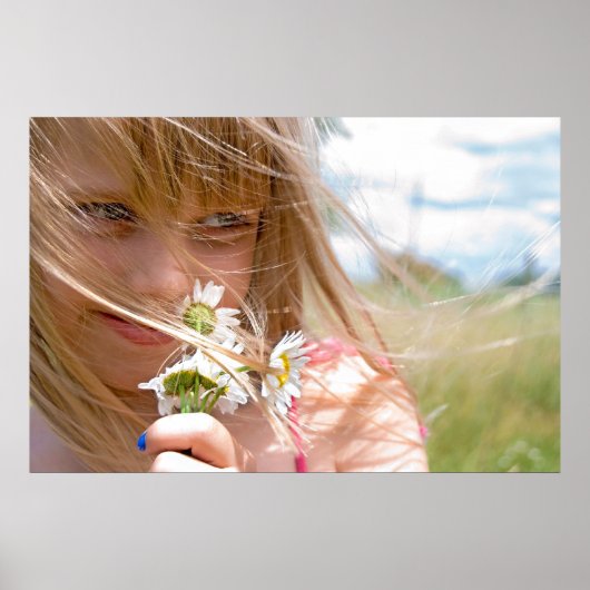 夏の風 ポスター (正面)