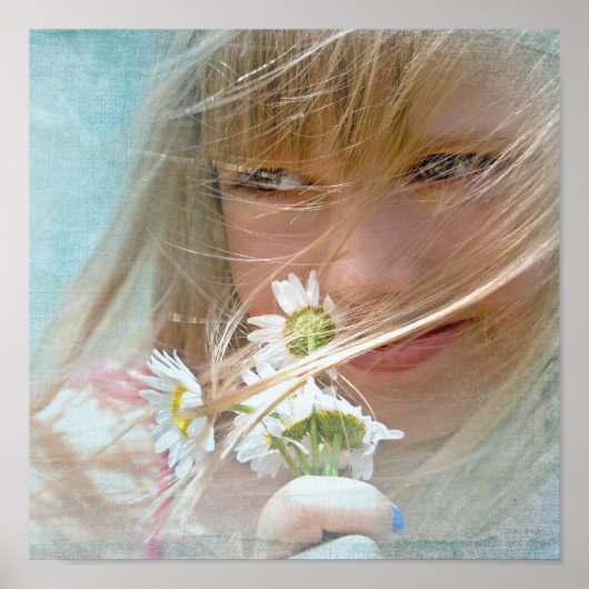 夏の風 ポスター (正面)