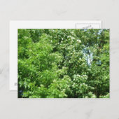 夏の風 ポストカード (正面/裏面)