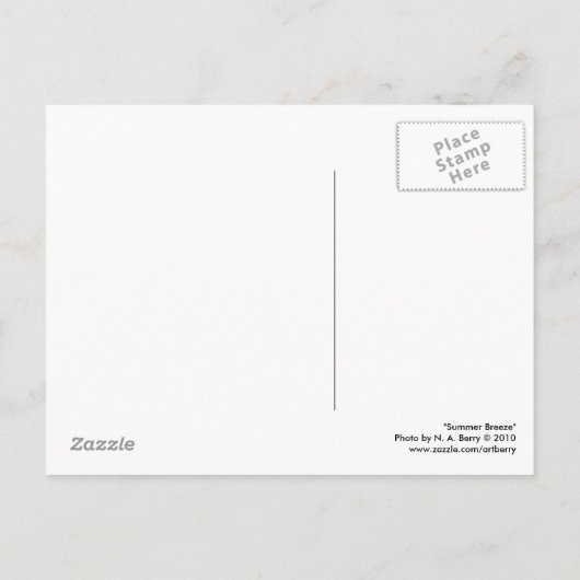 夏の風 ポストカード (裏面)