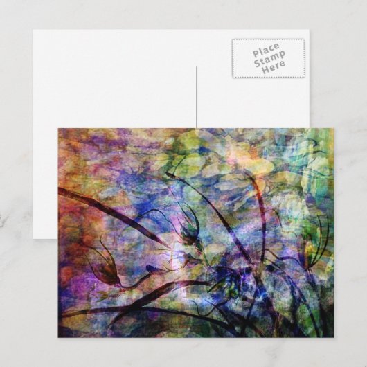 夏の風 ポストカード (正面/裏面)