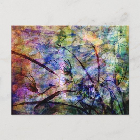 夏の風 ポストカード (正面)