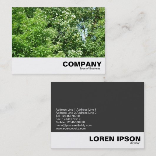 夏の風 名刺 (正面/裏面)