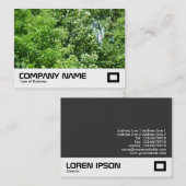 夏の風 名刺 (正面/裏面)