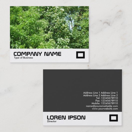 夏の風 名刺 (正面/裏面)