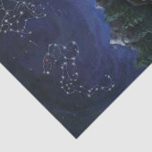 夏の騎士 薄葉紙 (詳細)