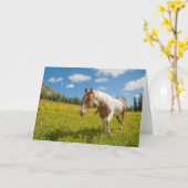 夏の高山草原に棲む奇妙な馬 カード (黄色い花)