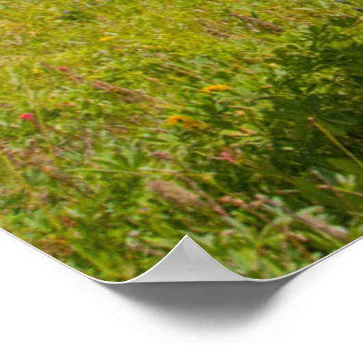 夏の高山草原に棲む奇妙な馬 ポスター (角)