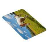 夏の高山草原に棲む奇妙な馬 マグネット (右側)