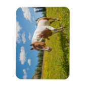 夏の高山草原に棲む奇妙な馬 マグネット (縦)