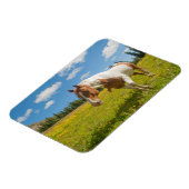 夏の高山草原に棲む奇妙な馬 マグネット (左側)