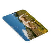 夏の高山草原の馬 マグネット (右側)