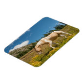 夏の高山草原の馬 マグネット (左側)