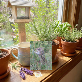 夏の魅力的牧草地はがきチムンク シーズンポストカード