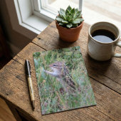 夏の魅力的牧草地はがきチムンク シーズンポストカード