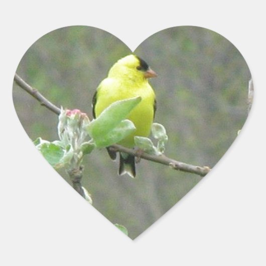 夏の鳴鳥をモチーフにしたアイテム ハートシール (正面)
