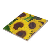 夏の黄色いひまわり タイル (側面)
