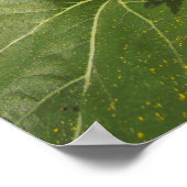 夏の黄色ひまわり写真自然壁ポスター ポスター (角)