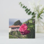 夏はがき ポストカード (スタンド正面)