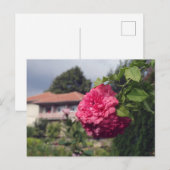 夏はがき ポストカード (正面/裏面)