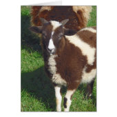 夏は小さい (正面)