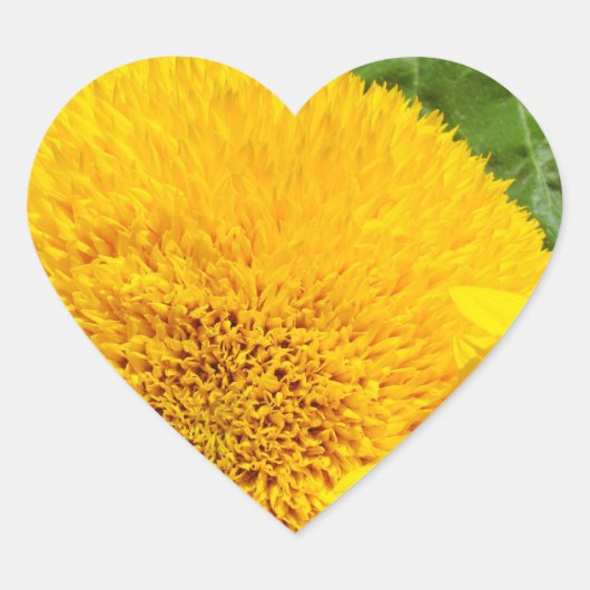 夏ひまわりステッカーシェイプハートカスタム ハートシール (正面)