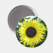 夏ひまわり丸い磁石 マグネット (正面/裏面)