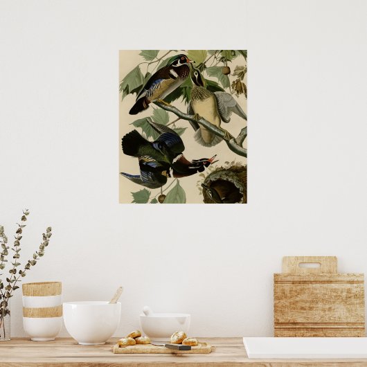 夏または木の鴨 ポスター (キッチン)