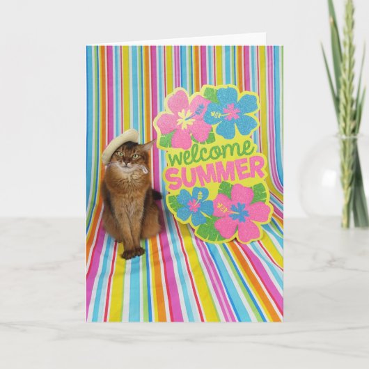 夏を主題にしたソマリアの猫を歓迎する夏 カード (正面)