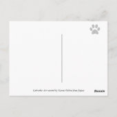 夏クールのラブラドール ポストカード (裏面)