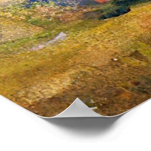 夏シーン ポスター (角)