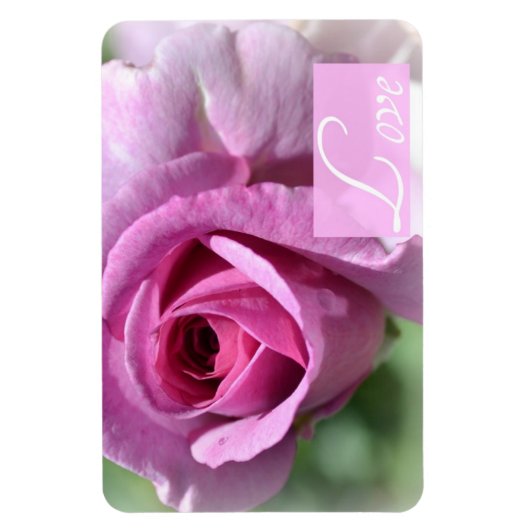 夏バラ磁石 マグネット (縦)