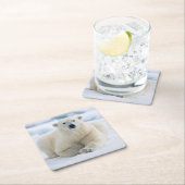 夏パック氷の上の大人のホッキョクグマ スクエアペーパーコースター (インサイチュ)