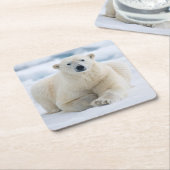 夏パック氷の上の大人のホッキョクグマ スクエアペーパーコースター (アングル)