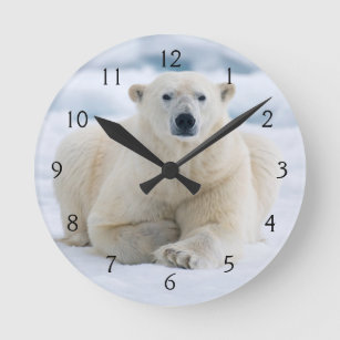 夏パック氷の上の大人のホッキョクグマ ラウンド壁時計