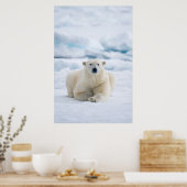 夏パック氷の上の大人のホッキョクグマ ポスター (キッチン)
