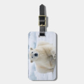 夏パック氷の上の大人のホッキョクグマ ラゲッジタグ (正面縦)