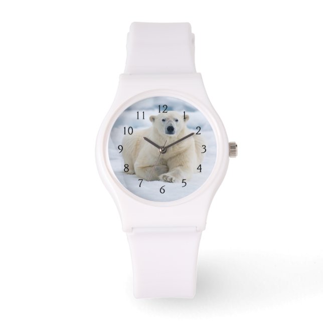 夏パック氷の上の大人のホッキョクグマ 腕時計 (正面)