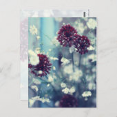 夏凍ってい ポストカード (正面/裏面)