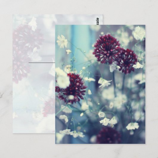 夏凍ってい ポストカード (正面/裏面)