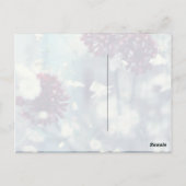 夏凍ってい ポストカード (裏面)