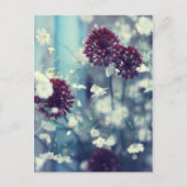 夏凍ってい ポストカード (正面)